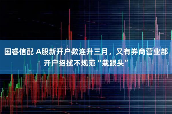 国睿信配 A股新开户数连升三月，又有券商营业部开户招揽不规范“栽跟头”