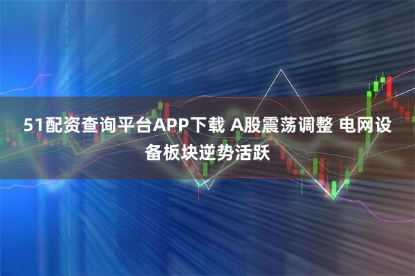 51配资查询平台APP下载 A股震荡调整 电网设备板块逆势活跃
