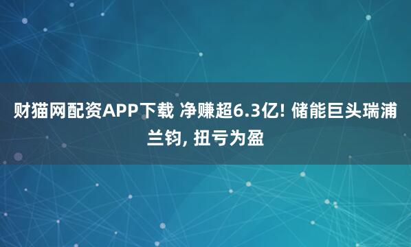 财猫网配资APP下载 净赚超6.3亿! 储能巨头瑞浦兰钧, 扭亏为盈